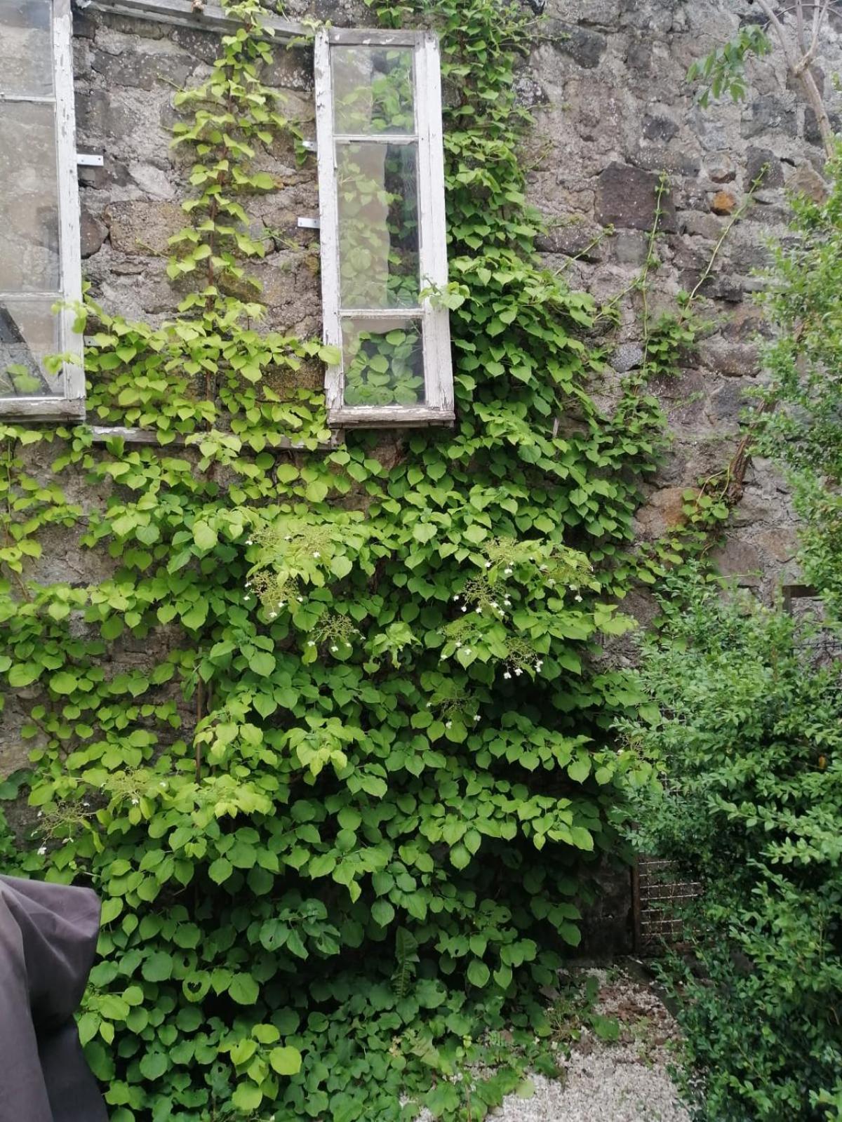 Le Cosy De Claire La Bourboule Exterior foto